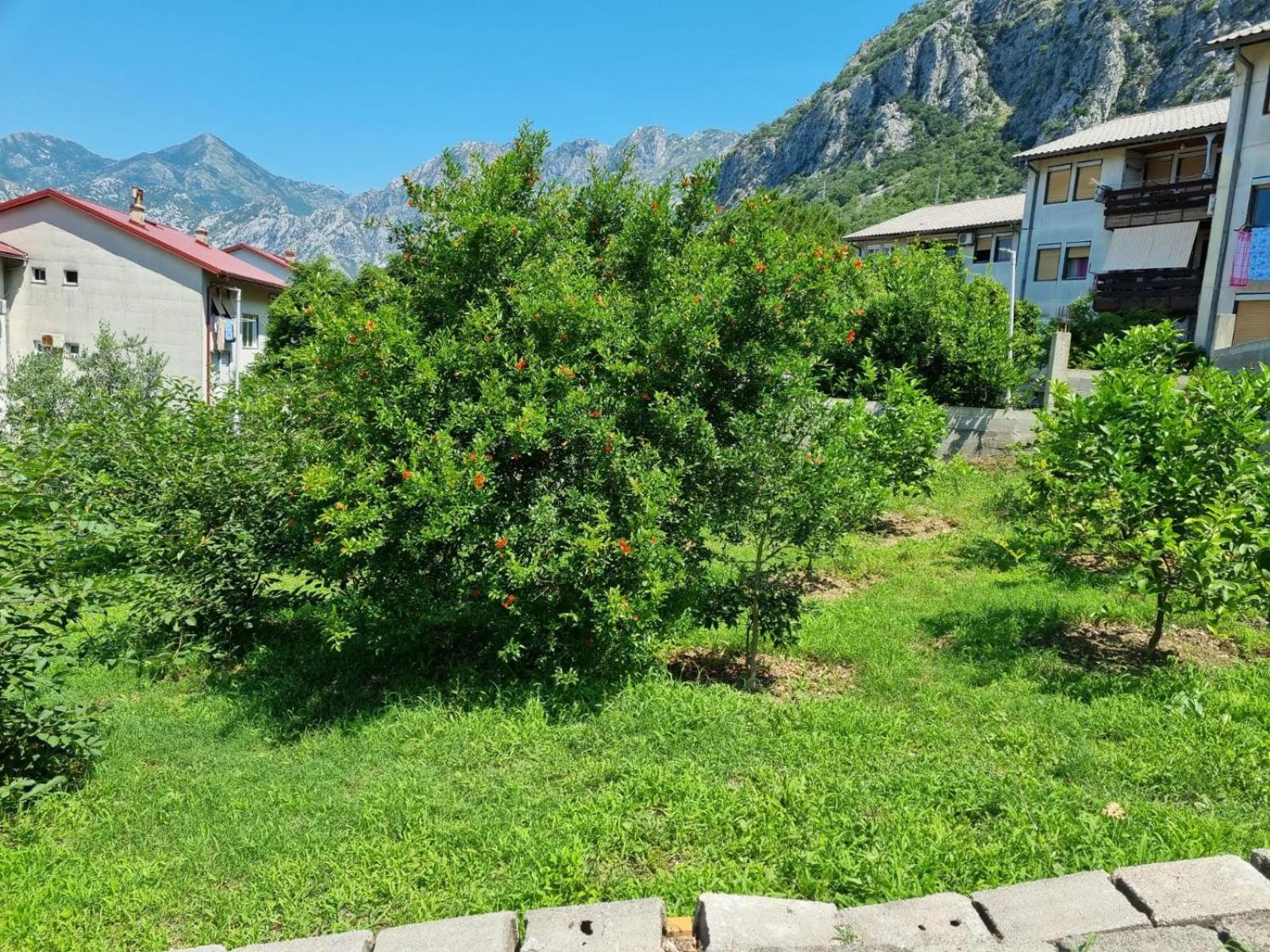 Apartments Luka Kotor Exterior foto